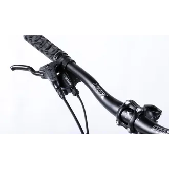 ROWER E-BIKE PROX MARS 29" ROZM. 19"