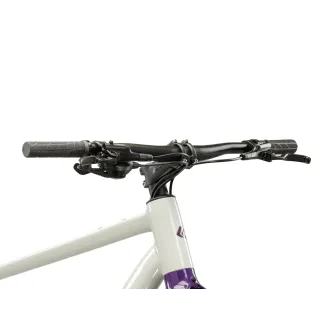 Rower Gravel KROSS ESKER 1.0 FL M (19") 28" szary / fioletowy / połysk 2026