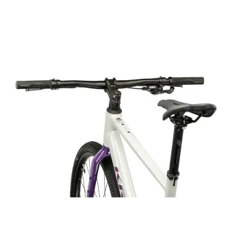 Rower Gravel KROSS ESKER 1.0 FL M (19") 28" szary / fioletowy / połysk 2026