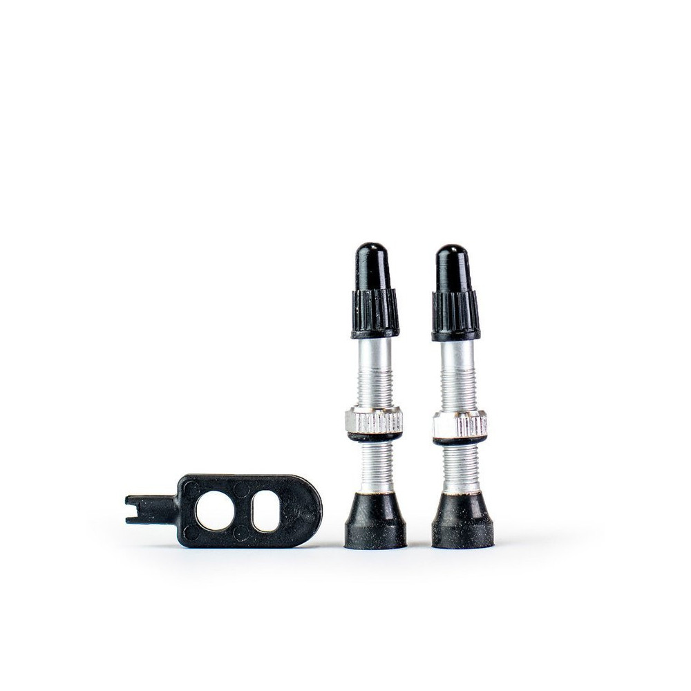 Srebrne zawory Trezado do systemów bezdętkowych - 2 sztuki z kluczykiem