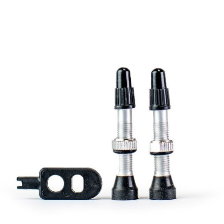 Srebrne zawory Trezado do systemów bezdętkowych - 2 sztuki z kluczykiem